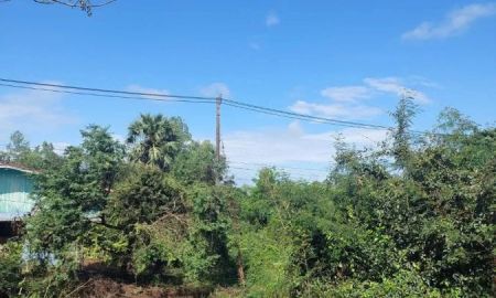 ขายที่ดิน - ขายที่ดินเปล่า ทำเลดี กำแพงดิน อ.สามง่าม จ.พิจิตร