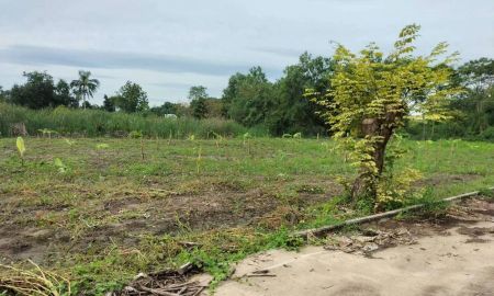 ขายที่ดิน - ขายที่ดินแปลงใหญ่ ทำเลดี นครปฐม ขนาดที่ดิน 2 ไร่ 393 ตารางวา