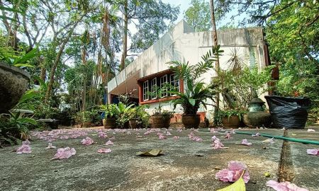 ขายบ้าน - บ้านในป่า กลางเจ็ดยอดเชียงใหม่ เนื้อที่เยอะ ปรับทำธุรกิจได้หลากหลาย