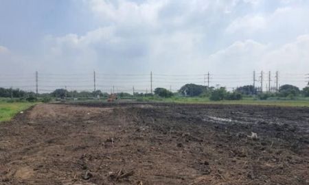 ขายที่ดิน - ขายที่ดิน 5 ไร่ 3 งานติดถนนใหญ่เส้นหลัก หน้ากว้าง 53 เมตร