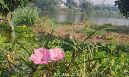 ขายที่ดิน - ติดแม่น้ำปิงติดถนนคอนกรีตสองด้าน ร้อนเงินเจ้าของขายเองยกแปลง 2.9 ล้านมีโฉนด 3 ไร่ครึ่ง ไฟฟ้าน้ำประปาพร้อม