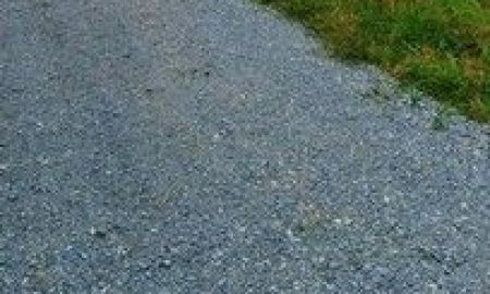 ขายที่ดิน - ถูกมาก ที่ดิน 1งานเริ่ม 3.9แสน฿ อ.เมือง นครปฐม ถนนหินคลุก ใกล้องค์พระปฐมฯ ฟรีโอน T.o86-3ol-6l6l