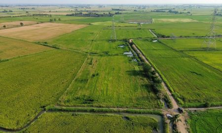 ขายที่ดิน - ที่นา 8-2-29 ไร่ ใกล้สถานีรถไฟบ้านกลับ ตำบลดอนโพธิ์ อำเภอเมือง จังหวัดลพบุรี