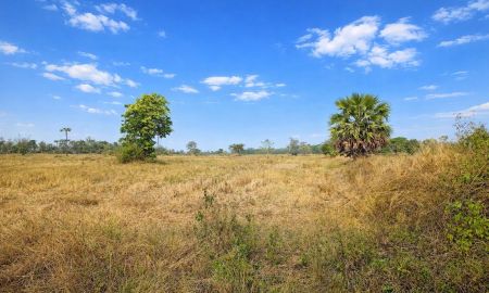 ขายที่ดิน - ที่ดิน แม่ทะ แค่แสนเดียว คุ้มค่าที่สุดเท่าที่จะหาได้