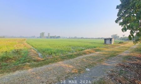 ขายที่ดิน - ขายที่นาดินดีน้ำดี เหมาะปลูกข้าว ทำไร่นาสวนผสม ปลูกผักเลี้ยงปลา