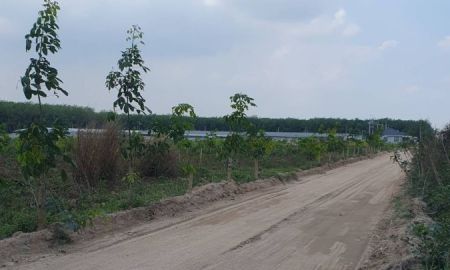 ขายที่ดิน - ขายที่ดินสวนยาง แปลงสี่เหลี่ยมสวย ทำเลทอง EEC ใกล้นิคมฯ เจ้าของขายเอง