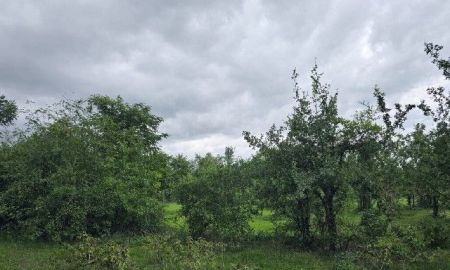 ขายที่ดิน - ขายที่ดิน ประจวบ พื้นที่ 5 ไร่ ต.อ่าวน้อย อ.เมือง จ.ประจวบคีรีขันธ์