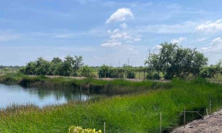 ขายที่ดิน - ขายที่ดินเปล่า 4 ไร่ ถมแล้ว ล้อมรั้ว มีบ่อน้ำ ราคาดี ทำเลกำลังโต