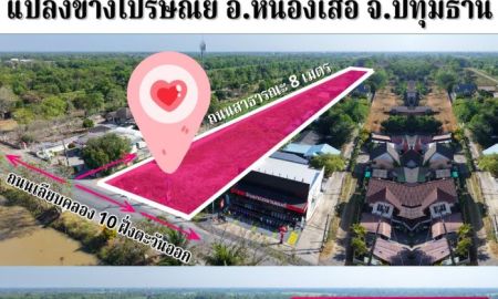 ขายที่ดิน - ที่ดินแบ่งขาย ทำเลทอง ใจกลางอำเภอหนองเสือ ราคาถูก สุดคุ้ม