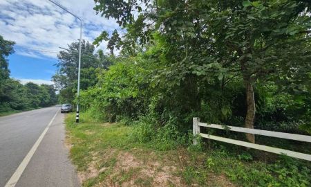 ขายที่ดิน - ขายที่ดิน อำเภอกันทรวิชัย มหาสารคาม ติดถนนหลักราดยาง