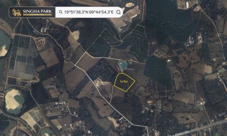 ขายที่ดิน - ขายที่ดินพรีเมียมติด Singha Park เชียงราย 14 ไร่ วิวภูเขาพาโนรามา
