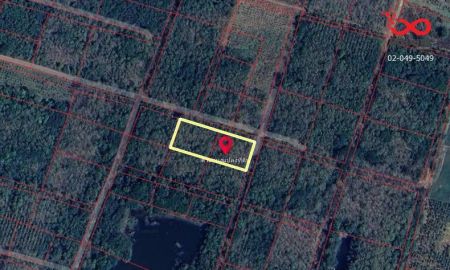 ขายที่ดิน - ขายที่ดิน 2 ไร่ 111 ตรว. ตะกุดไร ชนแดน เพชรบูรณ์ ใกล้ตลาดดงขุย