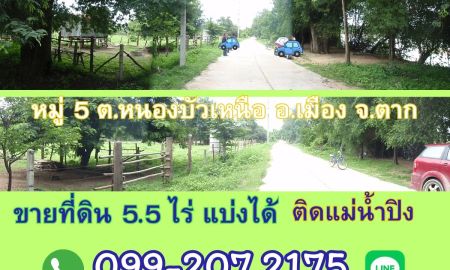 ขายที่ดิน - ขายที่ดิน 5.5ไร่ แบ่งได้ ติดแม่น้ำปิง ตำบลหนองบัวเหนือ หมู่5 อ.เมือง จ.ตาก ใกล้สะพานข้ามแม่น้ำปิงแห่งใหม่ สะพานบ้านวังม่วง