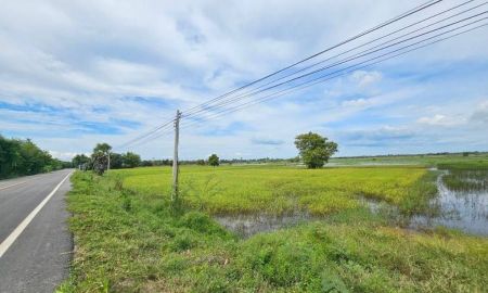 ขายที่ดิน - ขายที่ดิน สวย วิวธรรมชาติ 4ไร่ 2งาน 80ตรว. อ.กันทรวิชัย มหาสารคาม