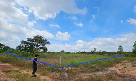 ขายที่ดิน - ขายที่ดิน โฉนด น.ส.3ก. อยู่ใกล้ชุมชนห้วยยายจิ๋ว ชัยภูมิ