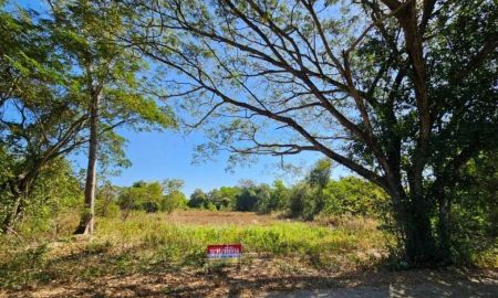 ขายที่ดิน - ที่สวยวิวธรรมชาติ เนื้อที่ 2 งาน 26 ตารางวา จังหวัดอุดรธานี