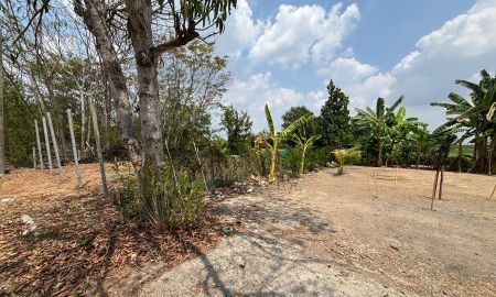 ขายที่ดิน - ขายที่ดินเปล่า รังสิต-นครนายก คลอง11 (ถมที่เรียบร้อยแล้ว)