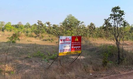 ขายที่ดิน - ขายด่วน! ที่ดินอุบลฯ ทำเลดี อ.พิบูลมังสาหาร ราคาคุ้มค่าสุดๆ