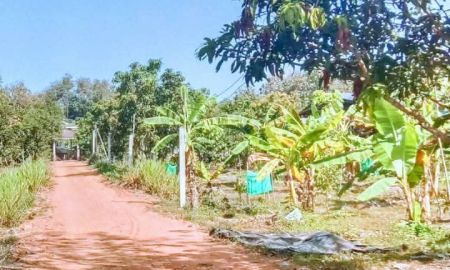 ขายที่ดิน - บ้านพร้อมที่ดิน อยู่แบบพอเพียง โฉนด 9 ไร่เศษ เมืองน่าน