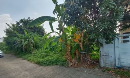 ขายที่ดิน - ขายที่ดิน 61 ตารางวา ซอยบางเลน 27 ตำบลบางเลน อำเภอบางใหญ่ นนทบุรี