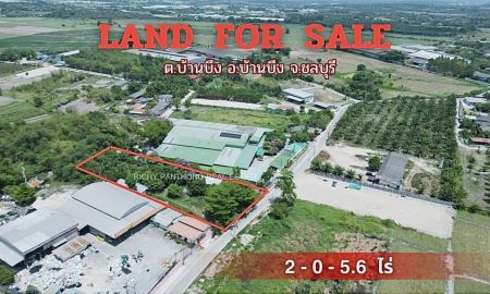 ขายที่ดิน - ขายที่ดินพร้อมสิ่งปลูกสร้าง 2-0-5.6 ไร่ ต.บ้านบึง อ.บ้านบึง จ.ชลบุรี