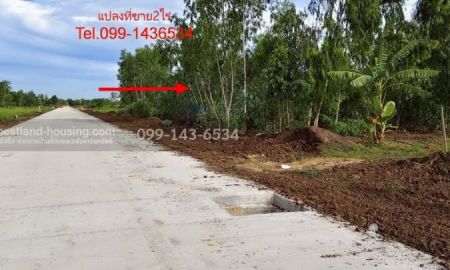 ขายที่ดิน - ขายที่ดินซอยคลองสี่ 19/1 เนื้อที่ 2 ไร่ ถมแล้วขาย 6ล้านถนนเลียบคลองสี่ ฝั่งตะวันตก ใกล้ถนนกาญจนาภิเษก วงแหวนรอบนอกฝั่งตะวันออก คลองหลวง ปทุมธานี 12120