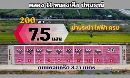 ขายที่ดิน - เปิดผังแปลงใหม่ คลอง 11 หนองเสือ ปทุมธานี 200 ตร.ว
