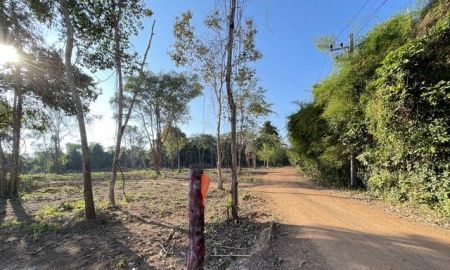 ขายที่ดิน - เปิดให้จองที่ดินสด/ผ่อนราคาถูกสุดๆ ไม่มีดอกเบี้ยซื้อสดวันนี้ลดได้อีก เนื้อที่ 3 ไร่ เดินทางสะดวกใกล้สถานีรถไฟดงบัง ตลาดสดและถนนใหญ่ จ.ปราจีนบุรี