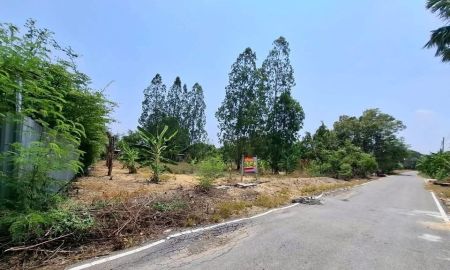 ขายที่ดิน - ขายด่วนที่ดิน 198 ตารางวา ติดถนนลาดยาง ชอย.สส.สำเร็จ17ต.บ้านไหม่ อ.บางใหญ่ จ.นนทบุรี