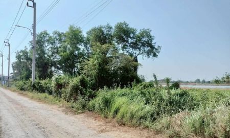 ขายที่ดิน - ขายด่วนที่ดิน 50 ตารางวา ติดถนนสาธารณะ มีไฟฟ้า+น้ำประปา คลองสิบสอง เขตหนองจอก กรุงเทพมหานคร