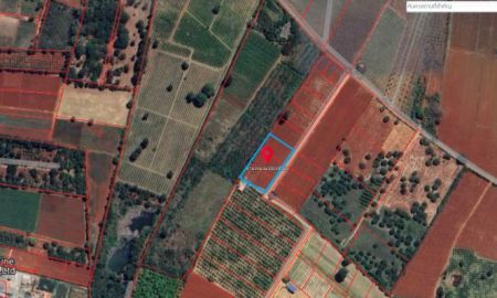 ขายที่ดิน - ขออนุญาติฝากขายที่ดินกลางดง ปากช่อง แปลงงาม(โฉนด) เนื้อที่ 3 ไร่ ติดเขาใหญ่ ใกล้ถนนมิตรภาพและทางหลวงพิเศษหมายเลข 6