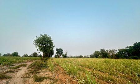 ขายที่ดิน - ขายที่ดินติด ถนนมิตรภาพขอนแก่น จังหวัดขอนแก่น