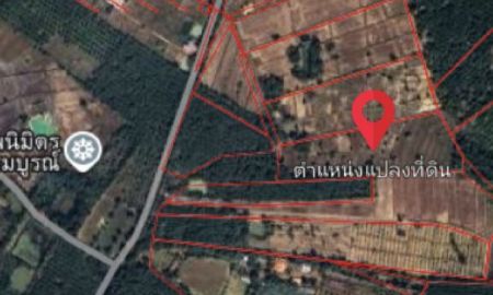 ขายที่ดิน - ที่ดินสวย อ.พรเจริญ ต.วังชมภู จ.บึงกาฬ 11 ไร่ 2 งาน 79 ตรว. เจ้าของขายเอง