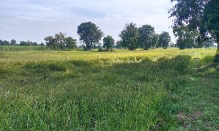 ขายที่ดิน - ขายที่ดินโฉนด อำเภอห้วยแถลง จ.นครราชสีมา Land for Sale in Huai Thalaeng, Nakhon Ratchasima