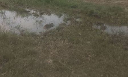 ขายที่ดิน - ขายที่ดินโฉนด 30 ไร่ เหมาะทําโครงการอสังหา