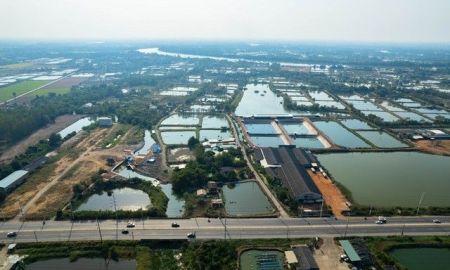 ขายที่ดิน - ขายที่ดินติดคลอง ถมแล้ว 117 ตรว. ต.คลองนา อ.เมือง จ.ฉะเชิงเทรา