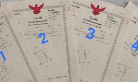 ขายที่ดิน - ขายบ่อปลาสวนผสมแปลงเล็ก ใกล้ปิงโค้ง ต.น้ำดิบ อ.ป่าซาง จ.ลำพูน