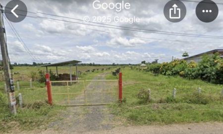 ขายที่ดิน - ขายที่ดินโฉนดครุฑแดง อ.นางรอง จ.บุรีรัมย์