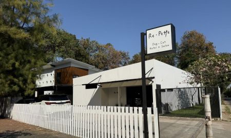 ขายบ้าน - ขายที่ดินพร้อมกิจการโรงแรมรับฝาก อาบน้ำตัดขน สุนัขและแมว กิจการพร้อมทำต่อได้ทันที