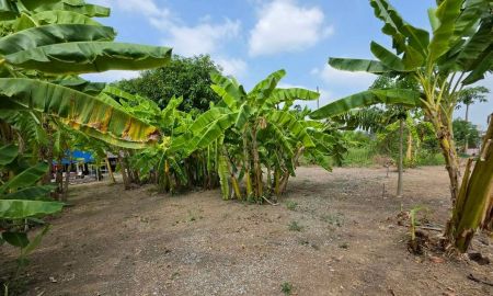 ขายที่ดิน - ขายที่ดินเปล่า ซอยบางนา-บางเตย คลองขนอน สามโคก