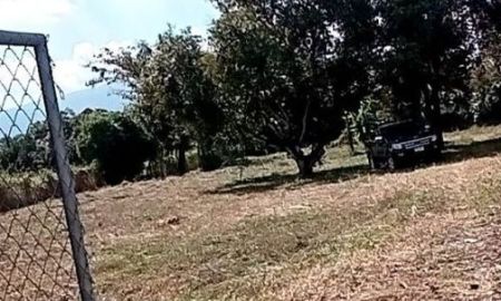 ให้เช่าที่ดิน - เช่า ขาย ที่ดิน 1-1-94 ตารางวา ใกล้เทศบาลตำบลหนองจ๊อม จังหวัดเชียงใหม่