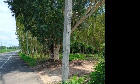 ขายที่ดิน - ขายที่ดินเปล่า ตำบลเขาหินซ้อน อำเภอ พนมสารคาม จัหวัด ฉะเชิงเทรา