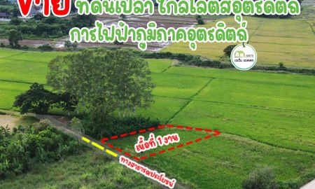 ขายที่ดิน - ที่ดินเปล่าทําเลใกล้โลตัส,การไฟฟ้าภูมิภาค,โรงเรียนไตรศาสตร์