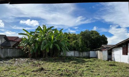 ขายที่ดิน - ขายที่ดินพร้อมบ้าน 2 หลัง ใกล้เมืองเชียงใหม่ (สันป่าตอง)