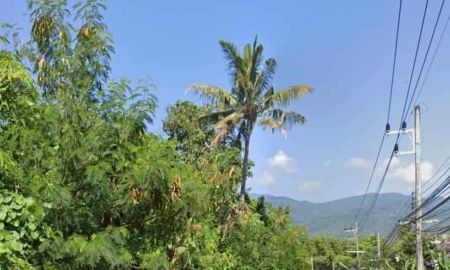 ขายที่ดิน - ขายที่ดินวิวดอยสุเทพ 2-1-13.5 ไร่ ต.ช้างเผือก ในเมืองเชียงใหม่