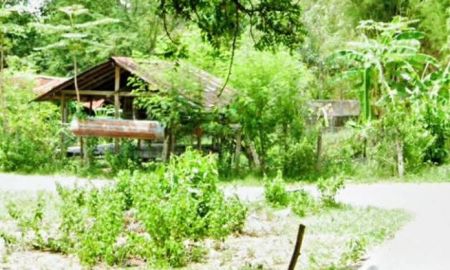 ขายที่ดิน - ที่ดินอยู่อาศัยแปลงสวย ราคาถูก อ.เวียงสา น่าน