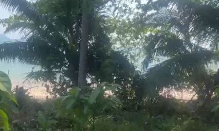 ขายที่ดิน - ขายที่ดินสวย 2.5 ไร่ ทำเลดี ติดทะเลและท่าเรือ หาดทรายรี จ.ชุมพร