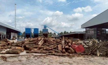ขายโรงงาน / โกดัง - ขายโรงงานหรือเทคโอเวอร์ ( 3 ธุรกิจ ) ไม้พาเลท โรงเลื่อยไม้แปรรูป ธุรกิจผลิตกล่องกระดาษ