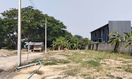 ขายที่ดิน - ขายที่ดินตำบลหนองผึ้งสารภีห่างวัดผางยอย 300เมตร