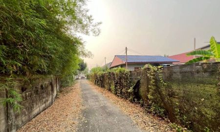 ขายที่ดิน - ขายที่ดินตำบลสันผักหวานบ้านดอนไฟหางดงโฉนดพร้อมโอน